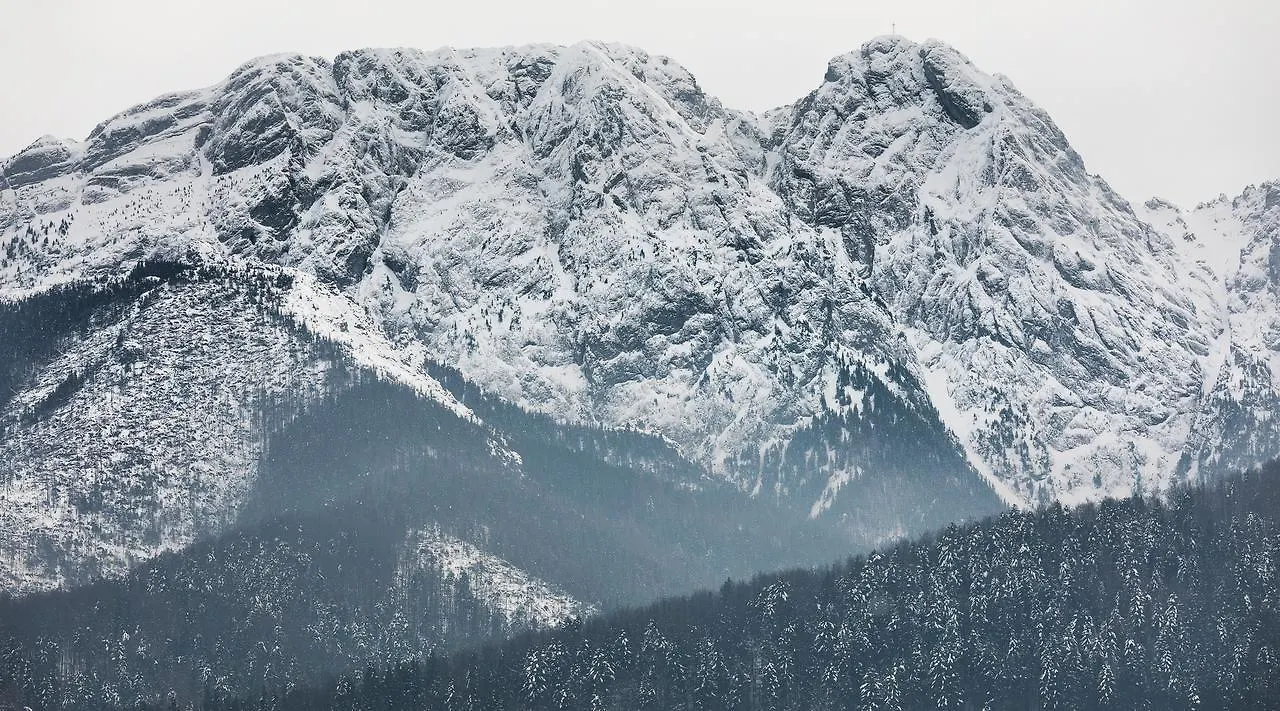 Rent Like Home - Szymoszkowa II Zakopane